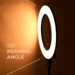 Ring Light with Stand 10" inch Professional Big LED Ring Light with 48 Inch Tripod Stand | 3 Color Modes Dimmable Lighting for Video Recording for YouTube