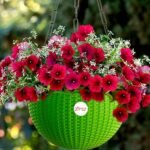 Hanging Planter  (Pack of 3,Plastic,multicolor)