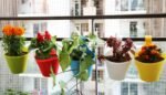 Plastic Hook Hanging Pot, Multicolor 29 x 12 x 22 cm, 10 Pieces, Medium