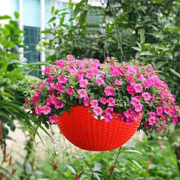 Hanging Planter  (Pack of 3,Plastic,red)