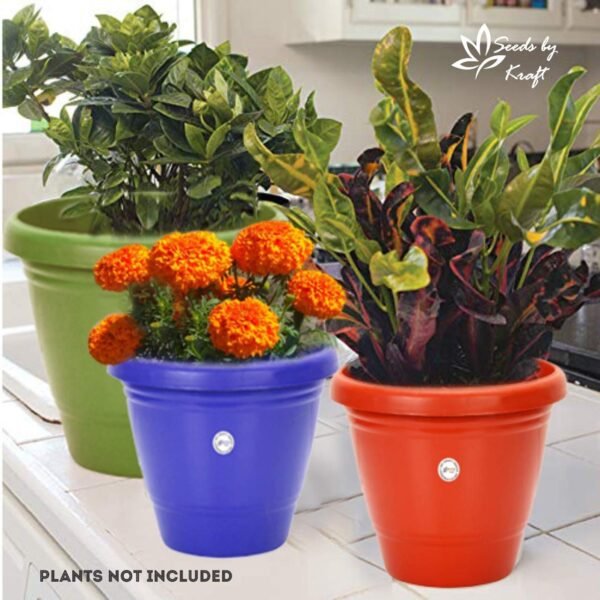 Gamla/Planter/Pot (10 inch, Multicolour, Set of 8)