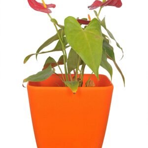 Table top Pots (9 Inch) (orange 2)(Pack of 6)