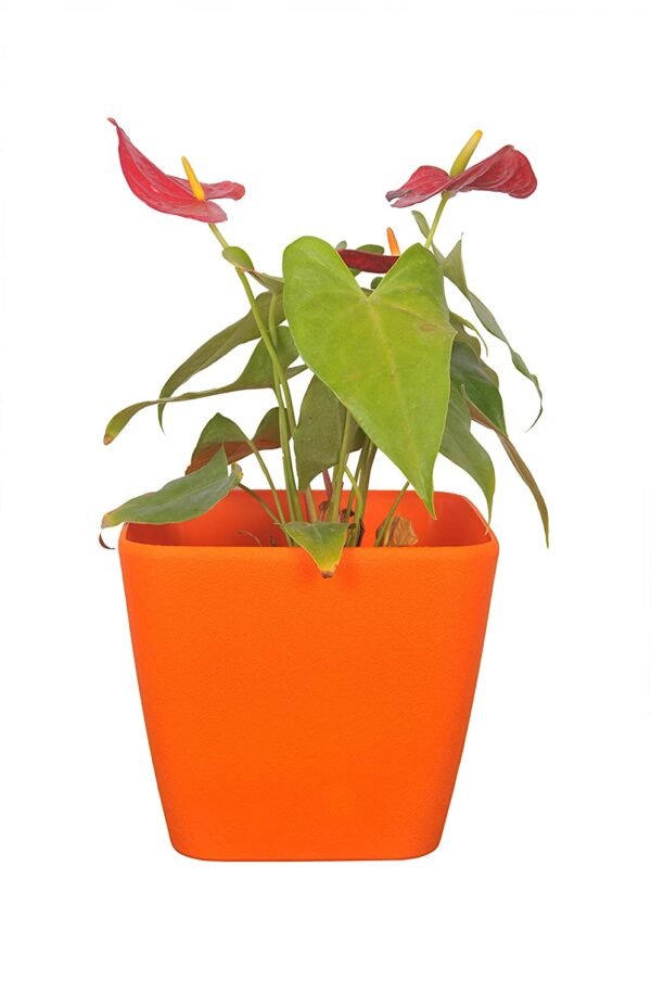 Table top Pots (9 Inch) (orange 2)(Pack of 6)