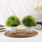 Artificial Bonsai  Grass (Green, Set of 2)