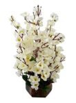 Artificial Flowers with Wood Pot (White)