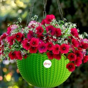 Hanging Planter (Pack of 3,Plastic,green)