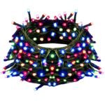 Rice light (Multi color) black wire