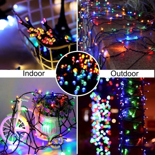 Rice light (Multi color) black wire