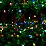 Rice light (Multi color) black wire