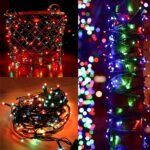 Rice light (Multi color) black wire