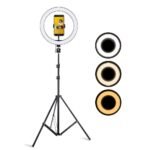 Ring Light with Stand 10" inch Professional Big LED Ring Light with 48 Inch Tripod Stand | 3 Color Modes Dimmable Lighting for Video Recording for YouTube