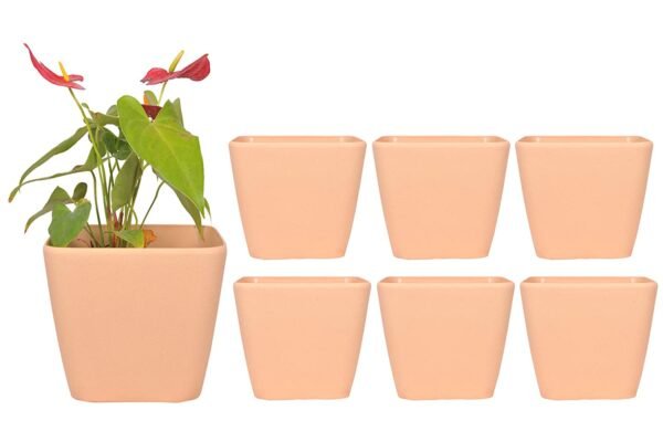 Table top Pots (9 Inch) (cream 2)(Pack of 6)