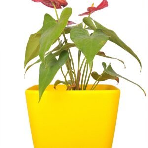 Table top Pots (9 Inch) (yellow 2)(Pack of 6)