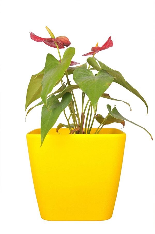 Table top Pots (9 Inch) (yellow 2)(Pack of 6)