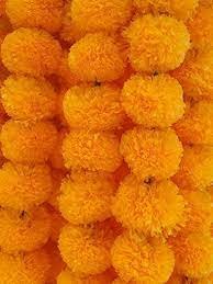 Marigold Fluffy Flowers Garlands for Decoration - light orange, 5 Pieces)