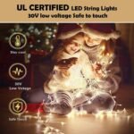 SDM string light